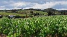 Diumenge, visita guiada a la Vall de Rials