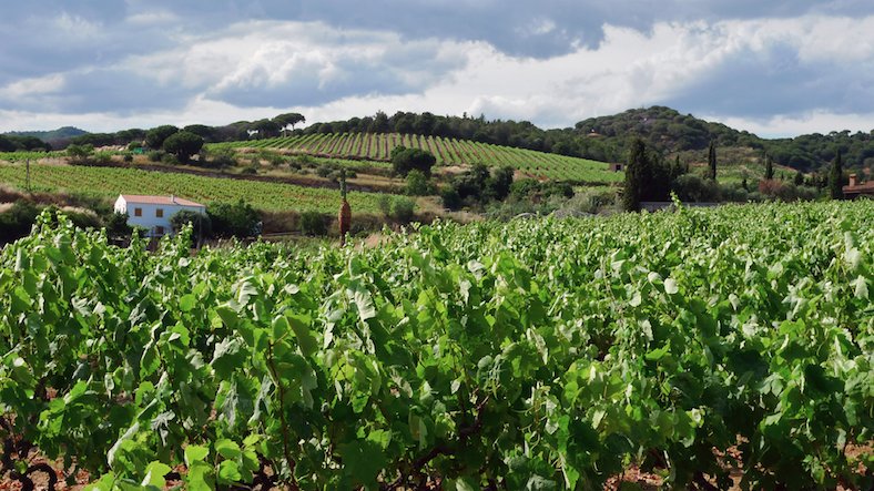 Diumenge, visita guiada a la Vall de Rials