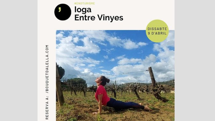 Demà dissabte, ioga entre vinyes a Bouquet d'Alella