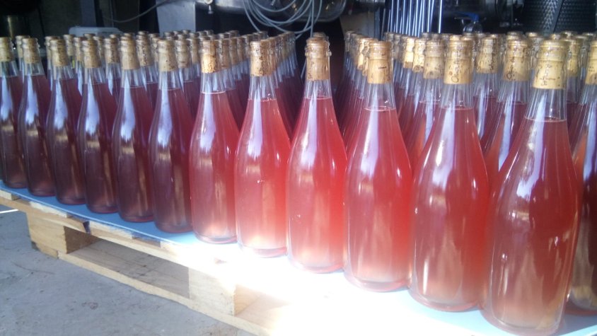 El Claret ja està embotellat!