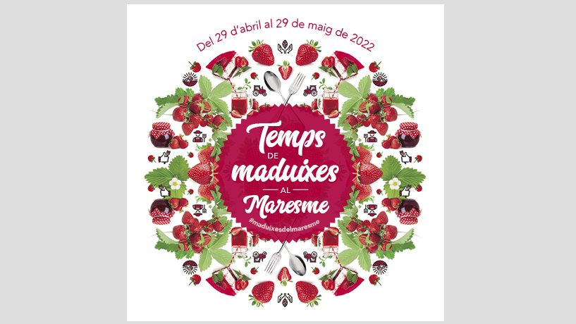 És temps de maduixes al Maresme