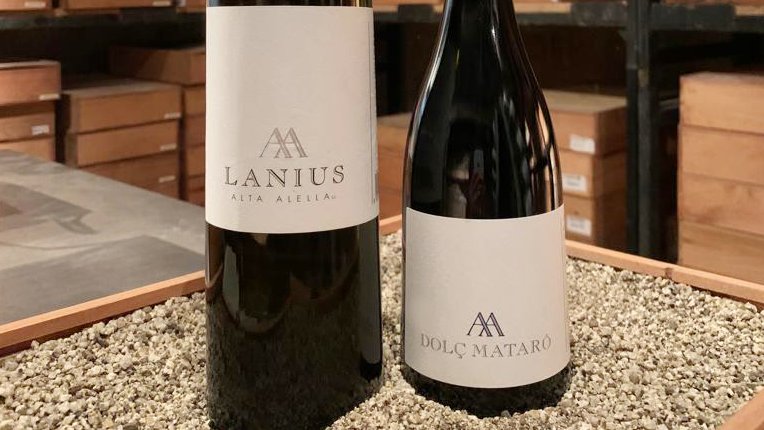 Alta Alella ofereix la segona experiència del Club de vins Família Pujol-Busquets!