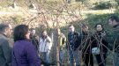 Aprendre a podar i esmorzar de forquilla a Bouquet d'Alella