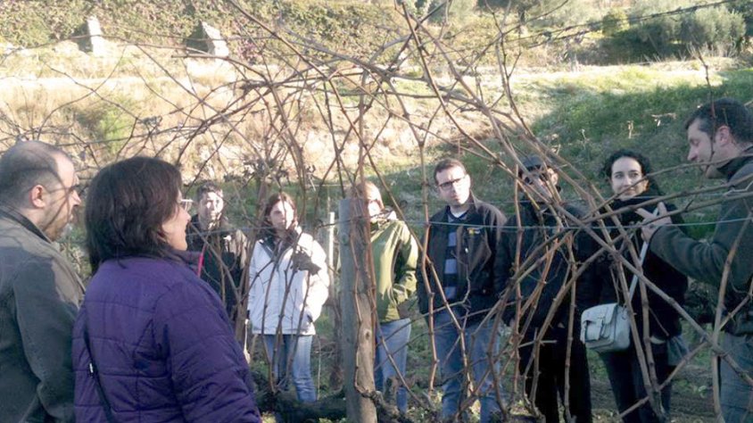 Toni Cerdà, del celler Bouquet d'Alella, dirigeix un taller de poda per a uns visitants
