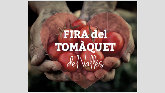 Fira i jornades gastronòmiques per gaudir del tomàquet de varietats locals del Vallès Oriental