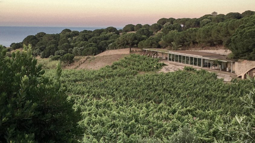 Alta Alella torna a programar la seva visita "4vins, 4 vinyes"