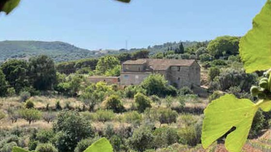 Can Reon: vinya, celler, hotel, restaurant i auditori