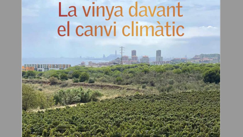 La vinya davant el canvi climàtic (1)