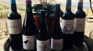 Aquest diumenge, tast de vins negres a Alta Alella