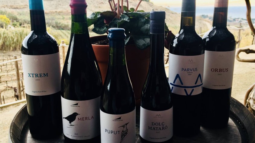 Aquest diumenge, tast de vins negres a Alta Alella