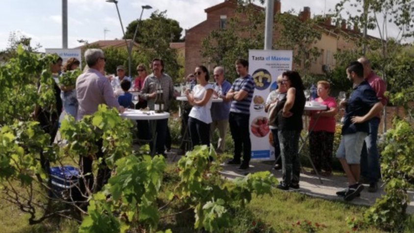 Aquest dissabte comença el Vi+ amb un Tasta El Masnou
