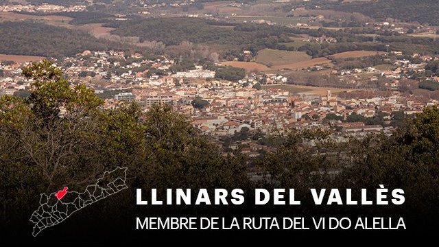 Llinars del Vallès, municipi DO Alella