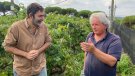 L’Ajuntament de Tiana premiarà la carta de vins que tracti millor la Denominació d’Origen Alella
