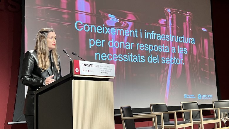Balcells, ahir, durant la presentació a l'auditori del Vinseum