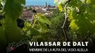 Vilassar de Dalt, municipi de la Ruta del Vi DO Alella