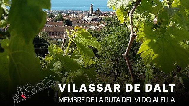 Vilassar de Dalt, municipi de la Ruta del Vi DO Alella