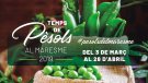 És temps de pèsol al Maresme!