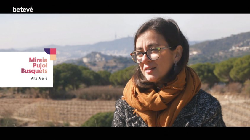 Mireia Pujol-Busquets explica el projecte d'Alta Alella a Betevé