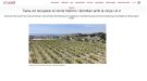 Nou article d'Òscar Pallarès a Vadevi