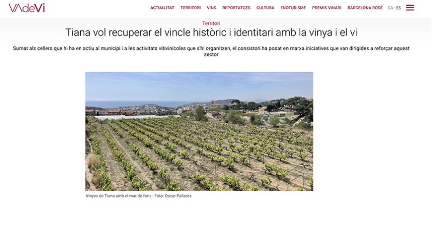 Nou article d'Òscar Pallarès a Vadevi