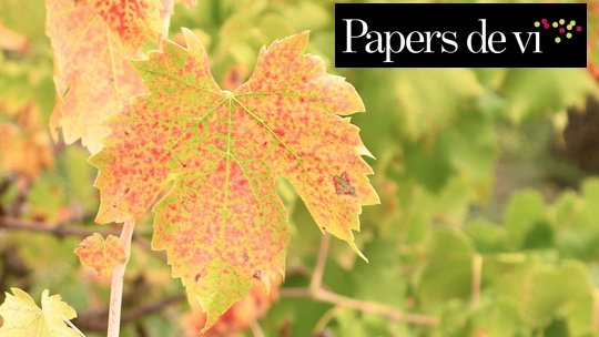 L'equip de Papers de vi oferirà un tast de vins DO Alella al Vinseum