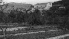Què es menjava i es bevia en una masia catalana al segle XVIII