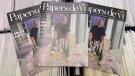 El nou número de Papers de vi ja és al carrer