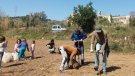 La vinya de Sant Jeroni de la Murtra creix en 1200 ceps de garnatxa blanca