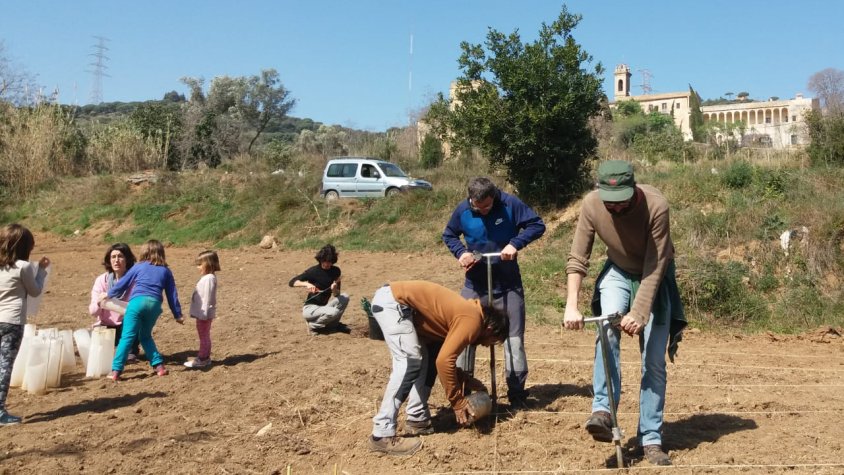Les jornades de plantació esdevenen una festa familiar on grans i menuts aprenen i gaudeixen