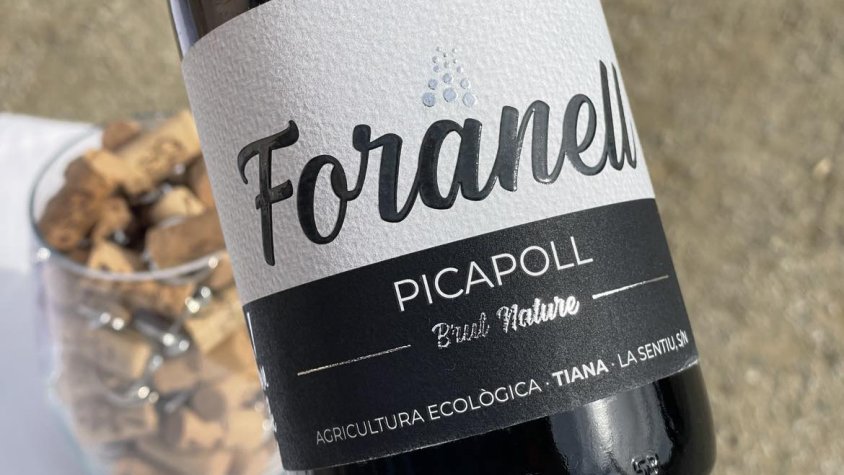 Quim Batlle presenta el seu nou Foranell Escumós de picapoll