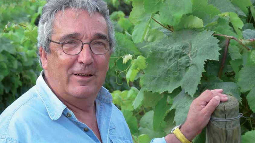 Jordi Pujolràs, el 2009, a la Vinya Testimonial de Can Magarola (Alella)