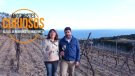 Alella en tres minuts al web Barcelona és molt més