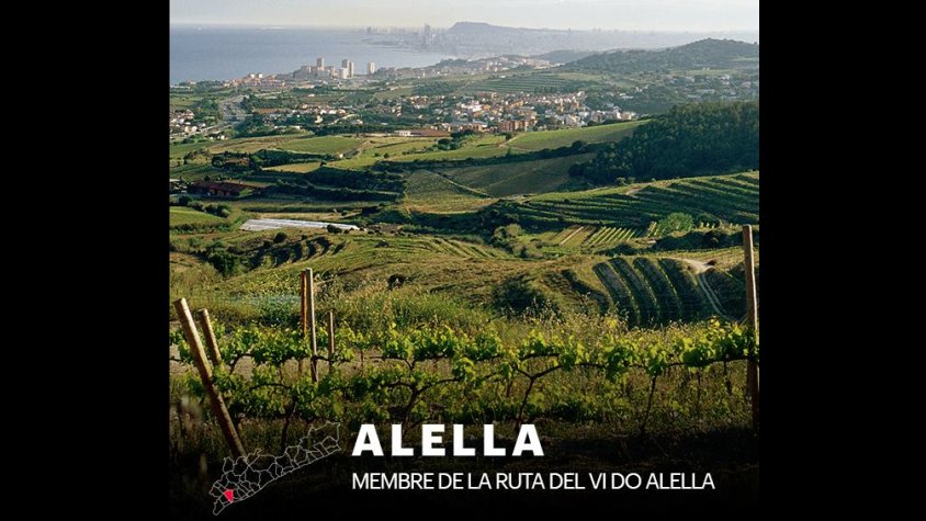 Alella, municipi de la Ruta del Vi