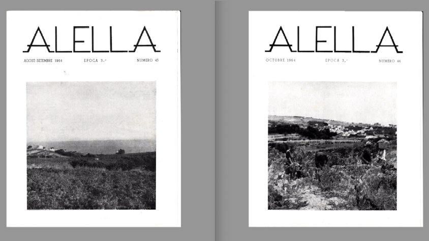 Les 50 veremes de la revista Alella: portades de l’any 1964