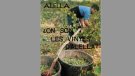 Les 50 veremes de la revista Alella: portada de l’any 1976