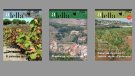 Les 50 veremes de la revista Alella: portades dels anys 2006, 2007 i 2008