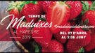 La maduixa és la protagonista de les Jornades Gastronòmiques de primavera del Maresme