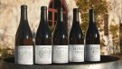 Sabors del terroir: experiència de tast de vins de Can Matons