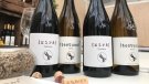 Testuan treu al mercat el seu primer vi negre DO Alella: el Xirà
