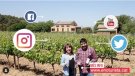 Vegeu el vídeo que Judit Cortina i David Jobé han fet sobre el So de Masia Can Roda Pansa Blanca