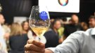 La Guia de Vins de Catalunya arriba a la majoria d'edat