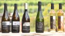 Can Roda es queda les marques del celler Altrabanda	