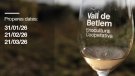El projecte Vall de Betlem programa tres visites a la vinya amb tast dels seus vins