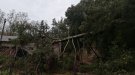 La caiguda d'un pi destrueix part de les instal·lacions de Vallalta Vinícola