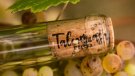 Sopar maridatge amb vins de Talcomraja al restaurant Allium de Mataró