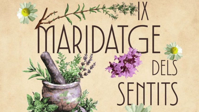 Teià presenta la 9a edició del Maridatge dels Sentits, centrada en l’etnobotànica i les plantes oblidades