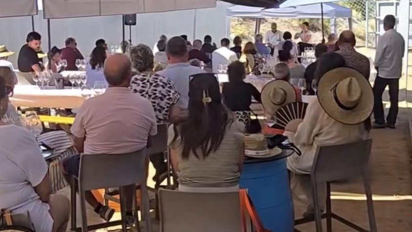 Art Laietà celebra 25 veremes amb una jornada per a professionals