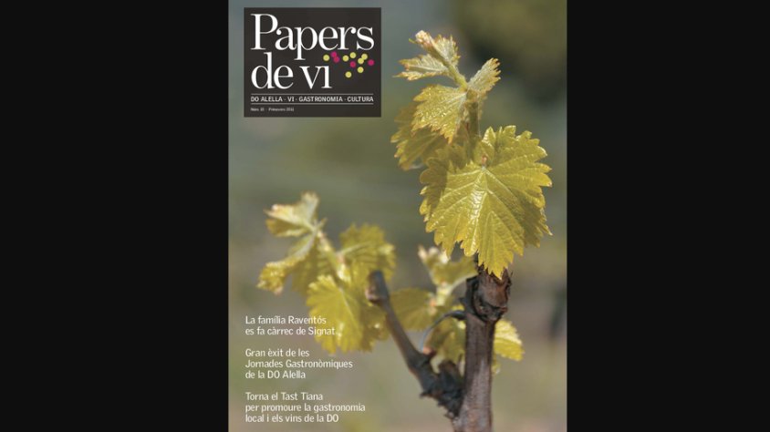 Arxiu Papers de vi - El número 10