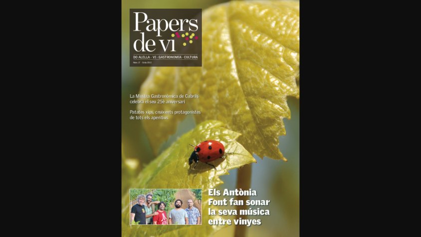 Arxiu Papers de vi - El número 17